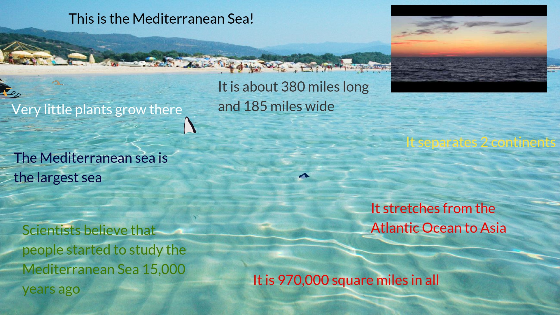 Mediterranean sea by Sandra and Sushanth